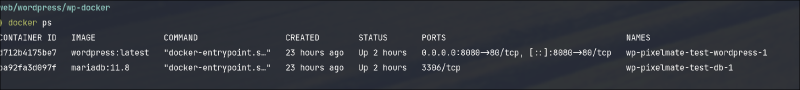 Unsere lokal mit Docker laufende WordPress-Installation